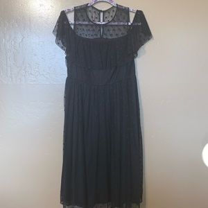 Torrid 2x Black shear cold should dress